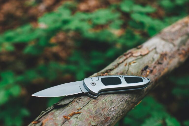 Stainless steel budget pocket knife resting on a wooden log outdoors