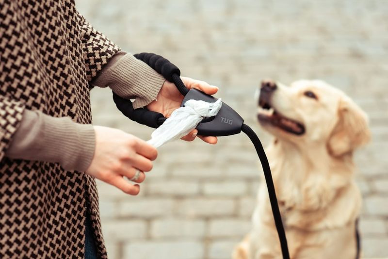 Leash-mounted waste bag dispenser, a core dog walker EDC item