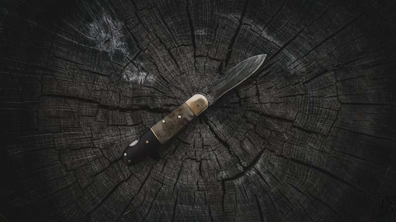 Single sharp folding pocket knife displayed on a weathered wooden tree stump
