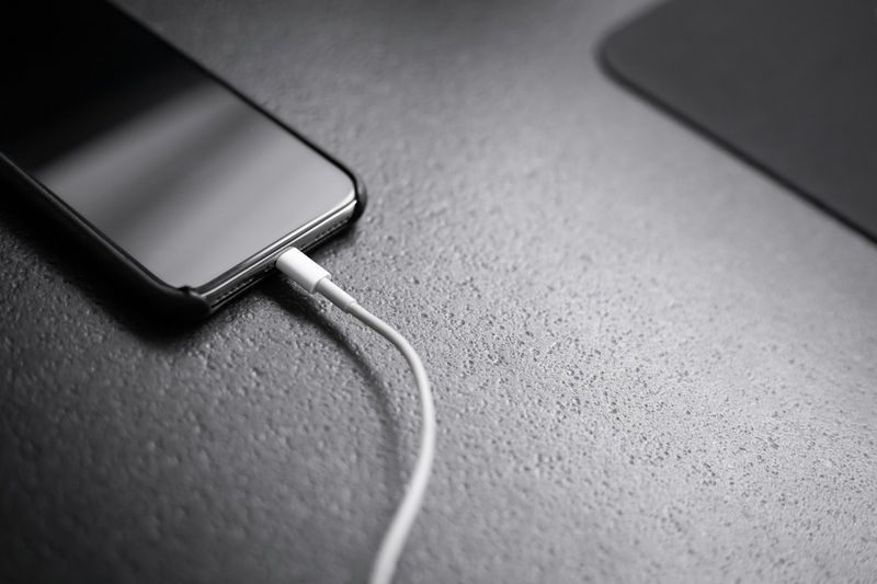 Phone charging cable for college EDC power kit
